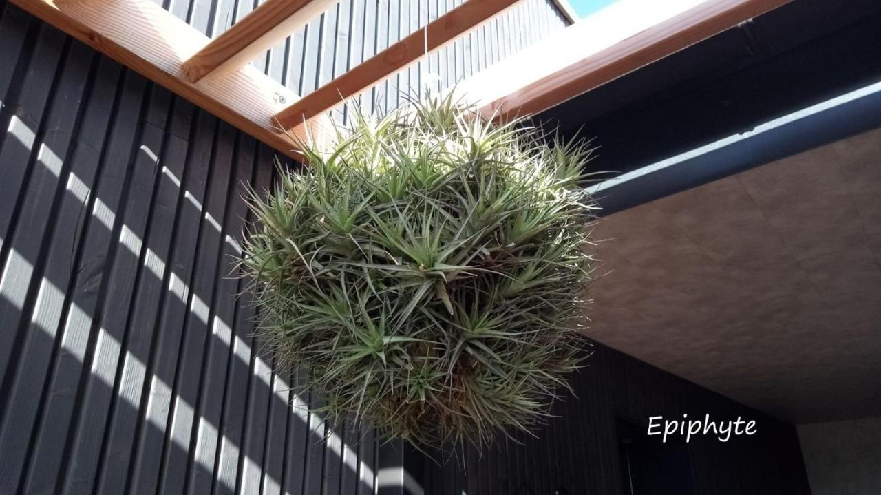 Epiphytes Et Succulentes Apartman Paimpol Kültér fotó